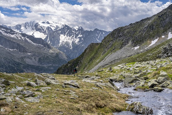 Mountaineers on a hiking trail, Berliner Hoehenweg, mountain panorama with glaciated mountain peaks, summit Hochfeiler and Hoher Weisszint, Zillertal Alps, Tyrol, Austria, Europe