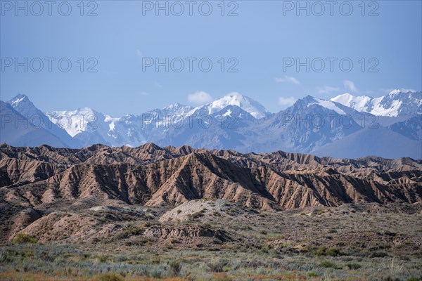 Canyons in desert landscape, mountains of the Tian Shan in the background, eroded hilly landscape, badlands, Valley of the Forgotten Rivers, near Bokonbayevo, Yssykkoel, Kyrgyzstan, Asia