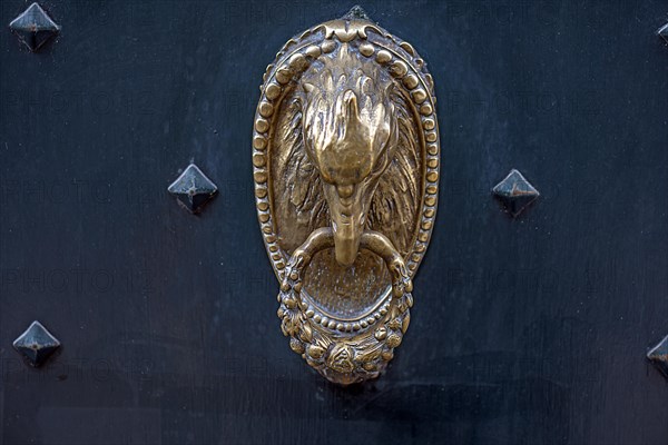 Eagle's head as a door knocker in the historic city centre, Genoa, Italy, Europe