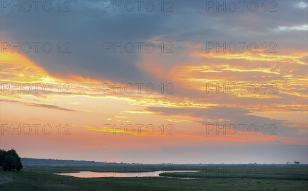 Riverside, chobe river, evening sun, sunset, landscape, evening mood, sky, nobody, empty, puristic, steppe, steppe landscape, Chobe National Park in Botswana