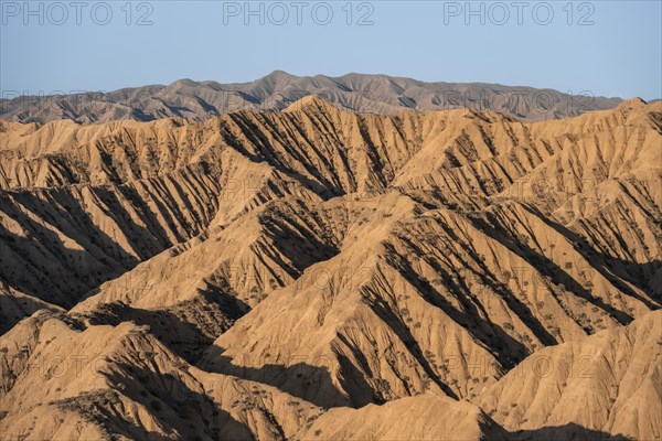 Canyons, eroded hilly landscape, badlands, Valley of the Forgotten Rivers, near Bokonbayevo, Yssykkoel, Kyrgyzstan, Asia
