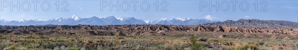 Panorama, canyons in desert landscape, mountains of the Tian Shan in the background, eroded hilly landscape, badlands, Valley of the Forgotten Rivers, near Bokonbayevo, Yssykkoel, Kyrgyzstan, Asia