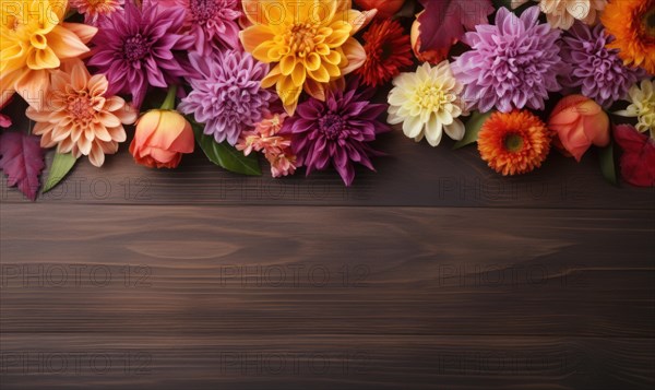 A vibrant selection of chrysanthemums on a rustic brown wood background AI generated
