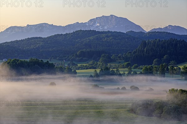 Foggy mood in front of a mountain landscape, morning light, summer, view of Benediktenwand, Alpine foothills, Bavaria, Germany, Europe