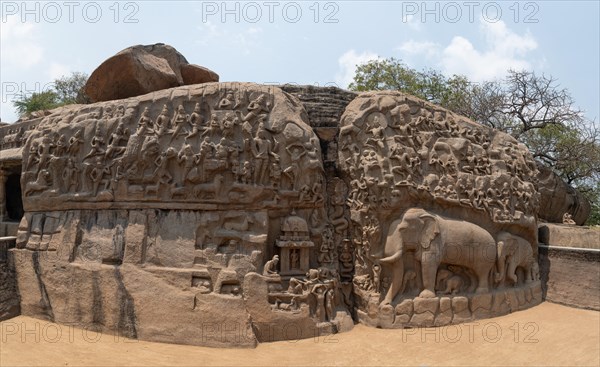 Relief, Arjuna's penance, descent of the Ganges, UNESCO World Heritage Site, Mahabalipuram or Mamallapuram, Tamil Nadu, India, Asia