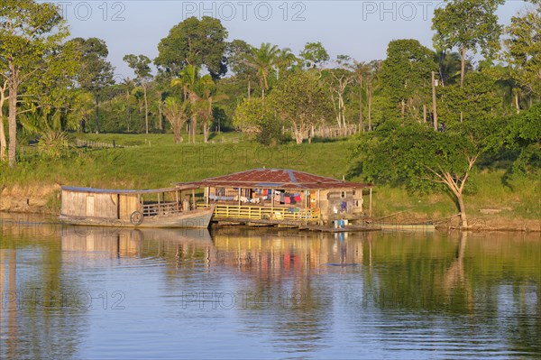 Wooden house and boat in the flooded forest along the Madeira River at sunset, Amazonas state, Brazil, South America