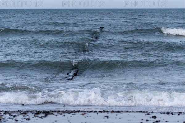 View of foam waves gently lapping against a sandy beach, breakwater, Baltic Sea, Zingst, Mecklenburg-Western Pomerania, Germany, Europe