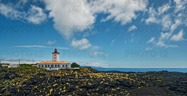 Wide lava flow with the striking lighthouse Farol da Ponta da Iha in front of a blue sky with white clouds, lava rocks coastal path Ponta da Iiha, Manhenha, west coast, Pico, Azores