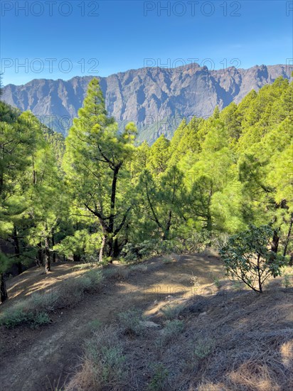 Mirador de Los Roques, Caldera de Taburiente, La Palma, Canary Islands, Spain, Europe