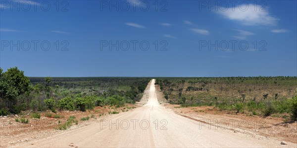 The C44 near Tsumke, road, highway, path, centre, nobody, lonely, road trip, landscape, journey, car, adventure, sandy track, panorama, distance, Namibia, Africa