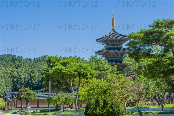 Tall oriental pagoda with tiled roof and golden spire and partial view of surrounding buildings behind beautiful trees in public park on sunny day