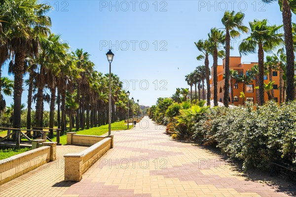 Seaside promenade with palm trees in Isla Canela, andalucia, Spain, Europe