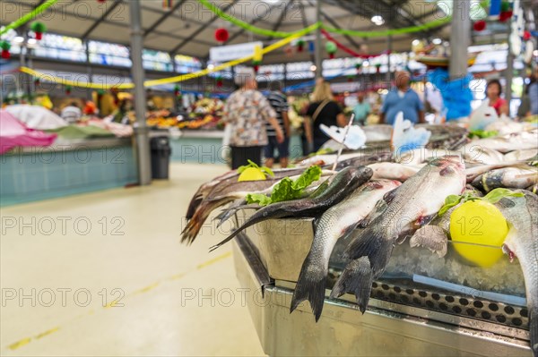 Fish stand at the local city market with tasty food