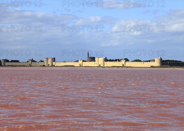 The medieval town of Aigues Mortes in the middle of the salt marshes, Gard, Petite Camargue, Provence, France, Europe