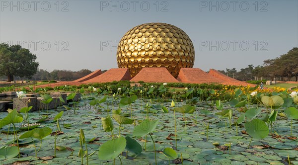 Lotus pond, meditation centre Matrimandir or Matri Mandir, future city Auroville, near Pondicherry or Puducherry, Tamil Nadu, India, Asia