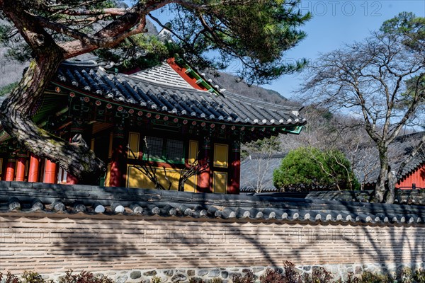 Buildings behind mud brick wall at Buddhist temple