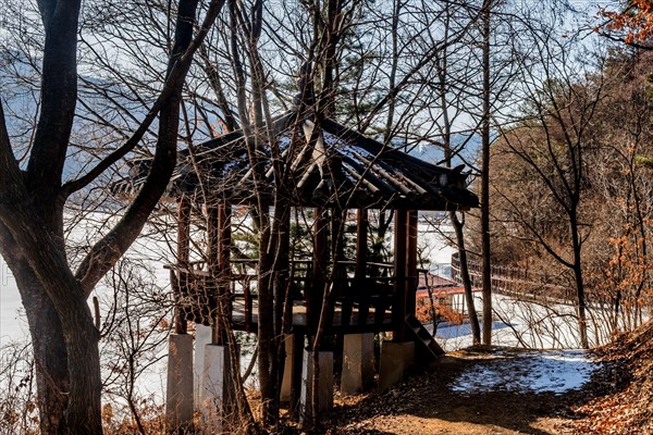 Oriental gazebo under leafless trees beside frozen lake in wilderness park