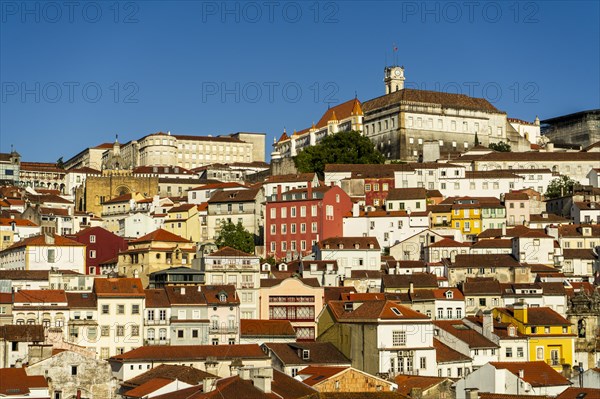 View at the town suburbs from above, Coimbra