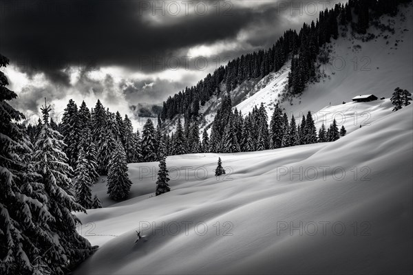 Lonely mountain hut in a snowy winter landscape, Balderschwang, Oberallgaeu, Bavaria, Germany, Europe