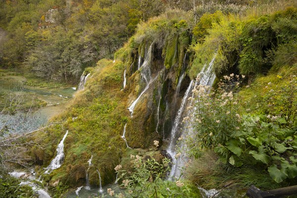 Plitvice Lakes National Park, protected forest area, Croatia, Europe