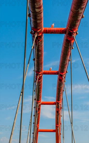 Three seagulls perched on top of dirty orange bridge with beautiful blue sky in background