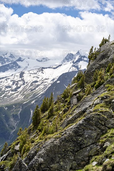 Mountain panorama with glaciated summit Grosser Moeseler and Turnerkamp, Berliner Hoehenweg, Zillertal Alps, Tyrol, Austria, Europe
