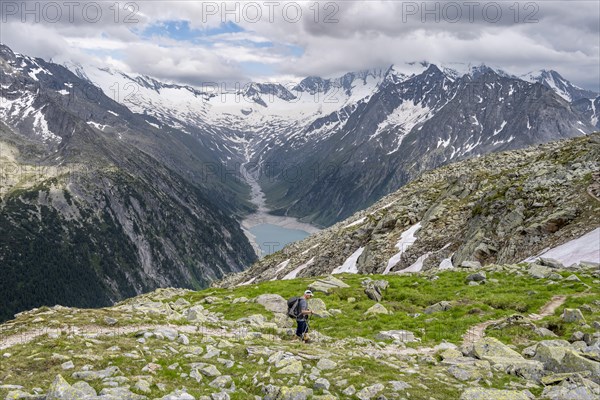 Mountaineer on hiking trail, view of Schlegeisspeicher, glaciated rocky mountain peaks Hoher Weisszint and Hochfeiler with glacier Schlegeiskees, Berliner Hoehenweg, Zillertal Alps, Tyrol, Austria, Europe