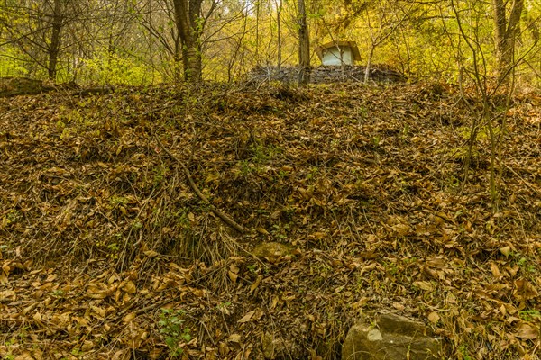 Small storage shed behind stone wall on top of steep hillside in wooded countryside