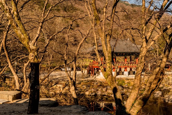 Pavilion behind leafless trees at Buddhist temple on late autumn morning