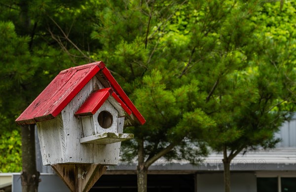 Closeup of white birdhouse with red roof on wooden stand with trees and white building in background