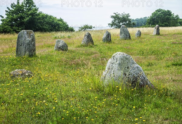 Disas Ting is a rectangular stone setting in the village of Svarte, west of Ystad. The name Disas Ting originates from an ancient legend, where Disa, the goddess of fate, is sitting in court (Ting) someday