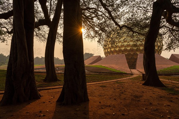 Sunrise, old banyan tree, meditation centre Matrimandir or Matri Mandir, future city Auroville, near Pondicherry or Puducherry, Tamil Nadu, India, Asia