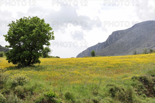 Landscape near Rethymno, Crete, Greece, Europe