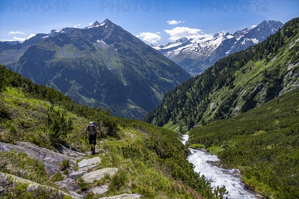 Mountaineer on a hiking trail by a stream, Berliner Hoehenweg, summit Grosser Ingent and Grosser Greiner, Zillertal Alps, Tyrol, Austria, Europe