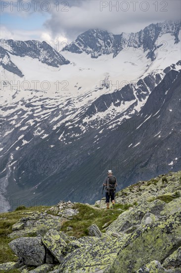 Mountaineer on hiking trail, view of glaciated rocky mountain peaks Hoher Weisszint and Hochfeiler with glacier Schlegeiskees, Berliner Hoehenweg, Zillertal Alps, Tyrol, Austria, Berliner Hoehenweg, Zillertal Alps, Tyrol, Austria, Europe