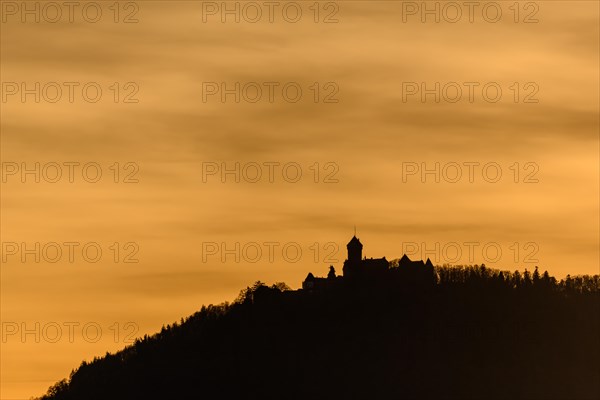 Silhouette of the Haut Koenigsbourg on the top of a mountain. Bas-Rhin, Alsace, Grand Est, France, Europe