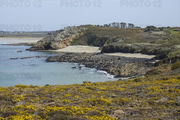 Anse de Dinan Bay, seen from the Pointe de Dinan, Crozon, Crozon Peninsula, Finistere Penn ar Bed department, Brittany Breizh region, France, Europe