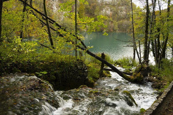 Plitvice Lakes National Park, protected forest area, Croatia, Europe