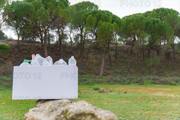 White cardboard box full of empty plastic bottles collected from the field for recycling, in the background a pine forest and a green grass meadow, concept of ecology and environment