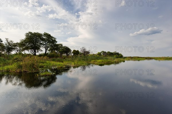 River cruise in the Okavango Delta, reeds, clouds, nature, natural landscape, landscape, nobody, puristic, reflection, Kwando River, BwaBwata National Park, Namibia, Africa