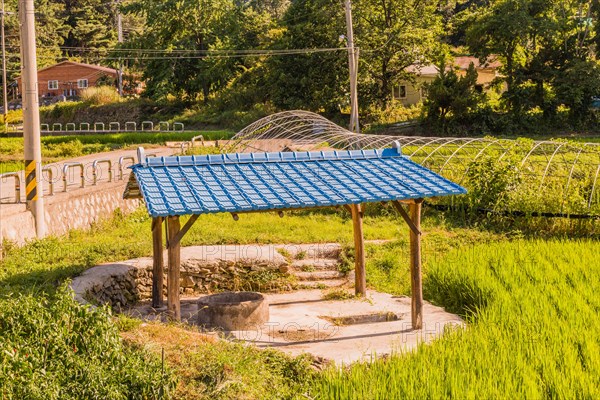 Concrete irrigation well under structure with blue metal roof at edge of rice paddy in rural community