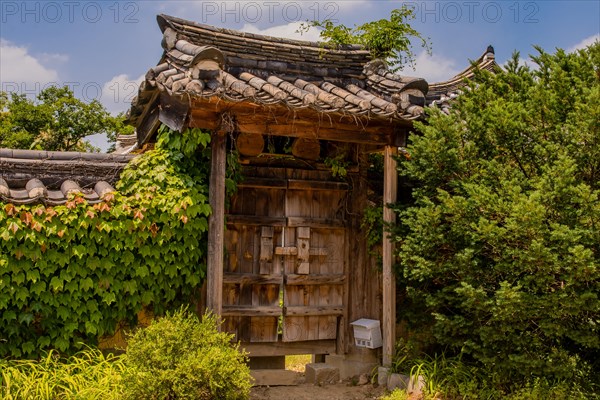 Traditional Korean wooden gate with ceramic tile roof set in wall covered with ivy and bushes