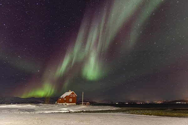 Northern lights over a red house by the sea, aurora borealis, snow, winter, Kvalsund, Repparfjord, Finnmark, Norway, Europe