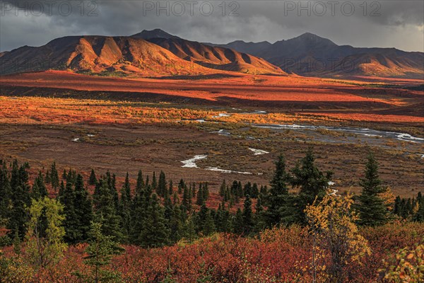 View over autumn landscape with river and mountains, evening light, clouds, tundra, Denali Park Road, Denali National Park, Alaska