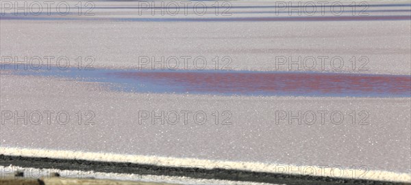 Salt works, Gard, Petite Camargue, Provence, France, Europe