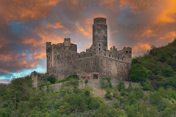 View over Maus castle, Wellmich, Rhineland Palatinate, Germany, Europe