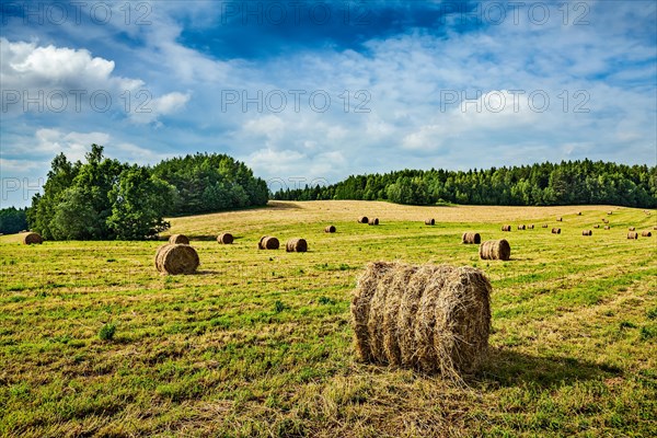 Agriculture background, Hay bales on field in summer