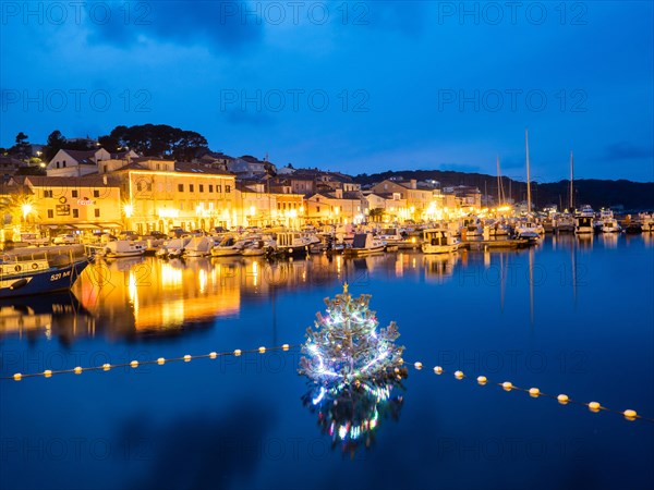 Blue hour, illuminated Christmas tree in the harbour basin, harbour of Mali Losinj, island of Losinj, Kvarner Gulf Bay, Adriatic Sea, Croatia, Europe