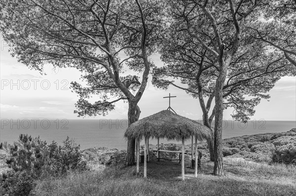 Small makeshift chapel with thatched roof under pine trees at the Tenuta delle Rippelte winery, black and white photograph, Elba, Tuscan Archipelago, Tuscany, Italy, Europe