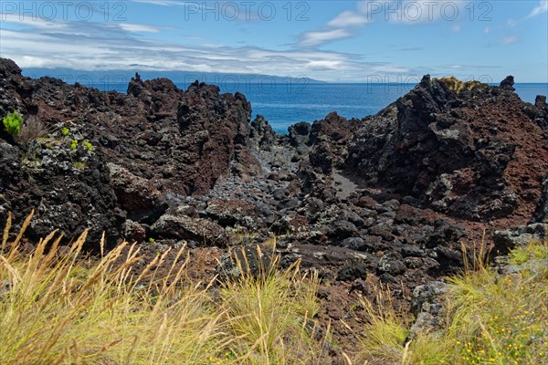 Barren volcanic landscape with a view of the calm sea under a partly cloudy sky, lava rocks coastal hiking trail Ponta da Iiha, Manhenha, west coast, Pico, Azores